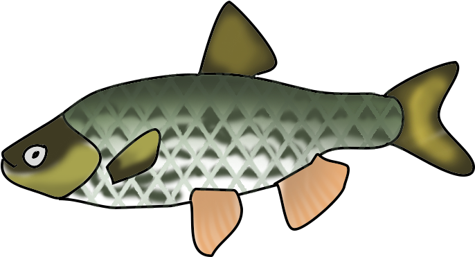 Marine Fish Clipart Transparent Fish - Fish Clipart With No Background - Transparent PNG Free Download