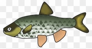 Marine Fish Clipart Transparent Fish - Fish Clipart With No Background - Transparent PNG Free Download