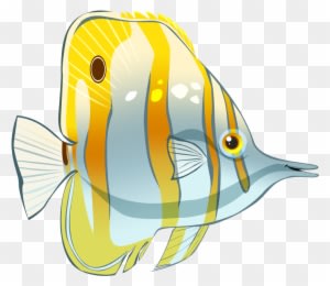 Chelsea Loren Edwards - Tropical Fish - Transparent PNG Free Download