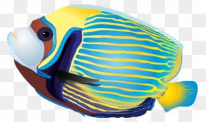 Clip Arts Related To - Tropical Fish Clip Art - Transparent PNG Free Download