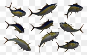 Fish Set 05 By Free Stock By Wayne On Clipart Library - Free Stock Fish - Transparent PNG Free Download