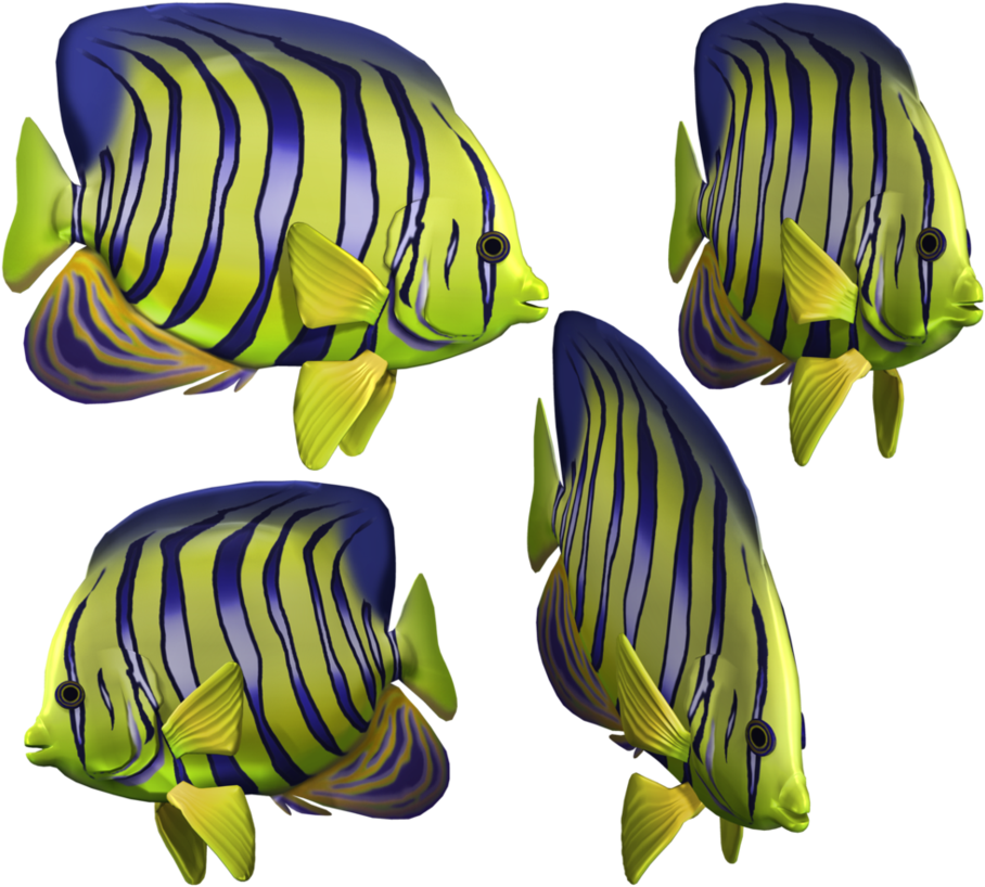Angelfish Clipart Green Fish - Fish In The Sea Png - Transparent PNG Free Download