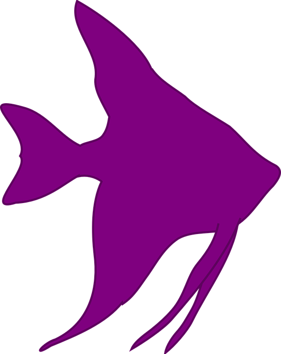 Angelfish Clipart - Cartoon Angel Fish Clipart - Transparent PNG Free Download