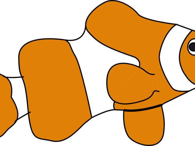 Marine Fish Clipart Nemo Fish - Clown Fish Shower Curtain - Transparent PNG Free Download