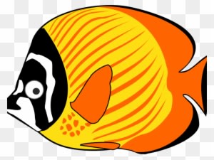 Related Cliparts - Cartoon Fish - Transparent PNG Free Download