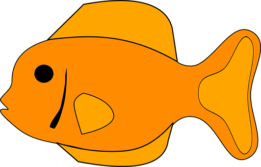 Fish Orange Animal Tropical Aquarium Fish - Fish Clipart - Transparent PNG Free Download