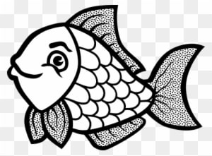 Fish Animal Water Fish Fish Fish Fish Fish - Line Art Of Fish - Transparent PNG Free Download