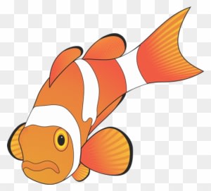 A List Of Design Ideas That You Can Use To Customize - Orange Fish Vector - Transparent PNG Free Download