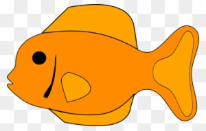 Fish Orange Animal Tropical Aquarium Fish - Fish Clipart - Transparent PNG Free Download