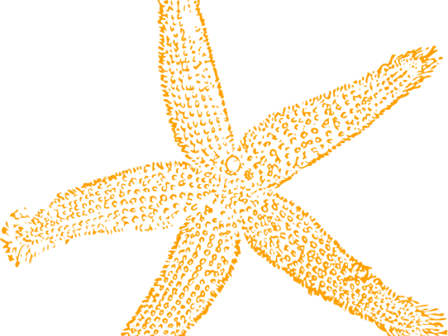 Starfish Cliparts Free - Fish Clip Art - Transparent PNG Free Download