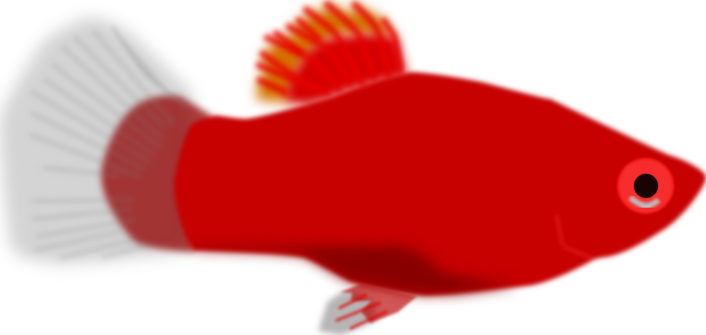 Aquarium Fish - Red Fish Clip Art - Transparent PNG Free Download