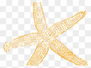 Starfish Cliparts Free - Fish Clip Art - Transparent PNG Free Download