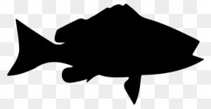 Fish Shape Of Blackfin Snapper Comments - Fish Silhouette No Background - Transparent PNG Free Download