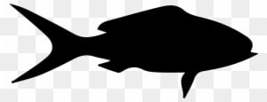 Fish Shape Of Queen Snapper Comments - Shape Of A Fish - Transparent PNG Free Download