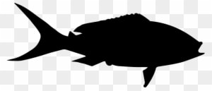 Yellowtail Fish Shape Comments - Yellow Tail Fish Svg - Transparent PNG Free Download