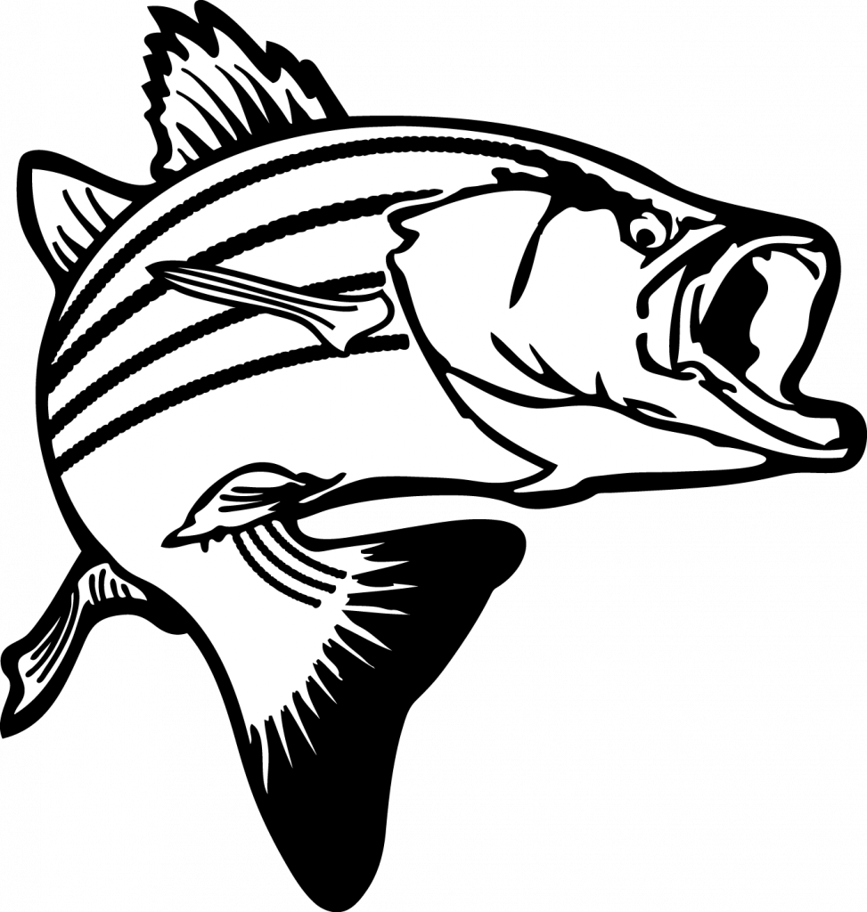 Fortune Clipart Pictures Of Fish Jumping Bass Clip - Fish Clipart Black And White - Transparent PNG Free Download