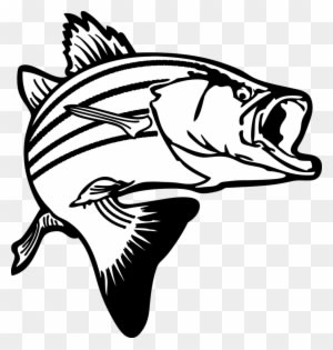 Fortune Clipart Pictures Of Fish Jumping Bass Clip - Fish Clipart Black And White - Transparent PNG Free Download
