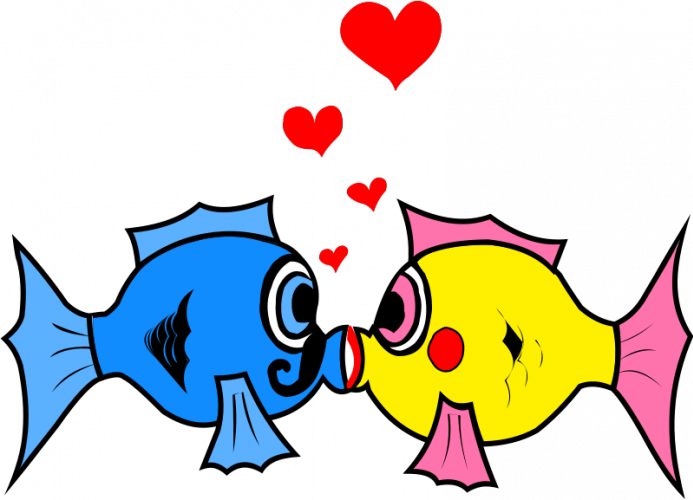 Two Kissing Fish Clipart - Fish In Love Clipart - Transparent PNG Free Download