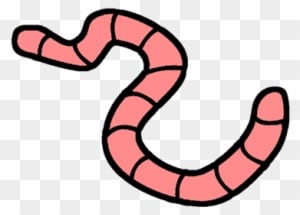 Bait Used For Fishing - Fishing Bait - Transparent PNG Free Download