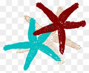 Small - Fish Clip Art - Transparent PNG Free Download