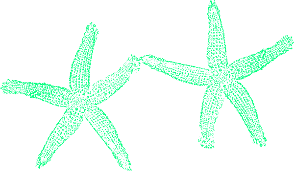 Fish Clip Art - Transparent PNG Free Download