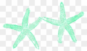 Fish Clip Art - Transparent PNG Free Download