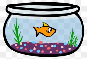 Fish Bowl - Png - Animated Fish Bowl Gif - Transparent PNG Free Download