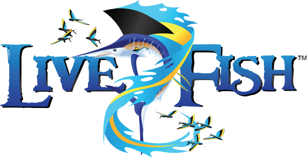 Fish - Fish - Transparent PNG Free Download