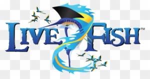 Fish - Fish - Fish Transparent PNG Free Download