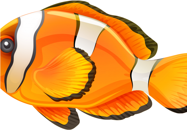 Butterflyfish Clipart Clown Fish - Fish .png - Transparent PNG Free Download