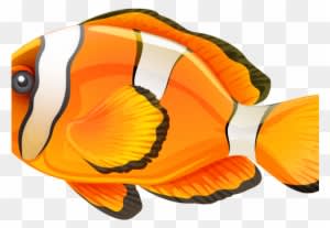 Butterflyfish Clipart Clown Fish - Fish .png - Transparent PNG Free Download