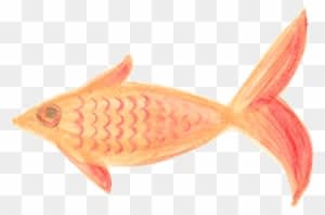 Fish Orange Patterned Traced - Fish Painting Png - Transparent PNG Free Download