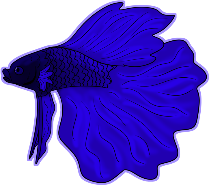 Betta Fish By Bearhugbooyah - Garibaldi (fish) - Transparent PNG Free Download