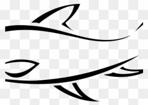 Fish Line Art - Fish Line Drawing Png - Transparent PNG Free Download