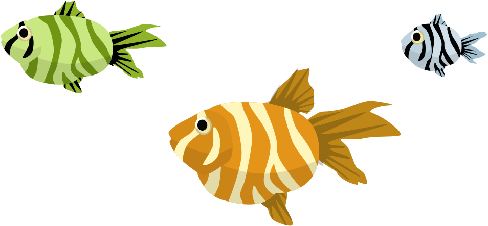 Image Description - Coral Reef Fish - Transparent PNG Free Download