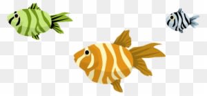 Image Description - Coral Reef Fish - Transparent PNG Free Download