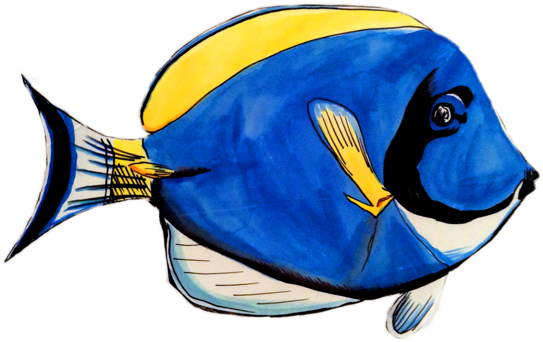 0 Comments - Coral Reef Fish - Transparent PNG Free Download