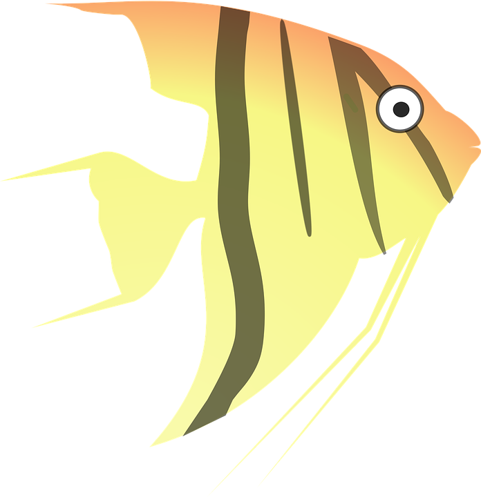 Tropical Fish Clipart 24, Buy Clip Art - Angel Fish Cartoon - Transparent PNG Free Download