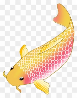 Koi Fish Sketch Orange - Koi Fish Clipart Png - Transparent PNG Free Download