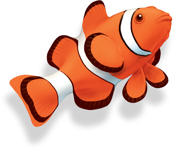 Clown Fish - Clown Fish Png - Transparent PNG Free Download