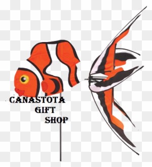 Clown Fish Aquatic Life Spinners Upc - Aquatic Life Wind Spinner - Clown Fish - Transparent PNG Free Download