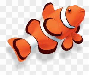 Clown Fish - Clown Fish Png - Transparent PNG Free Download