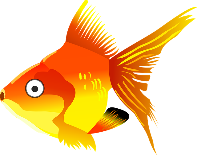 Goldfish Clipart Kartun - Gold Fish Cartoon Png - Transparent PNG Free Download