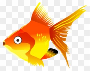 Goldfish Clipart Kartun - Gold Fish Cartoon Png - Transparent PNG Free Download