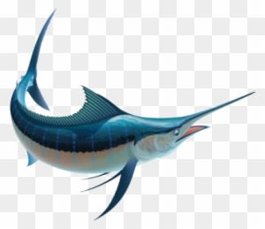 Blue Marlin Fish - Transparent PNG Free Download