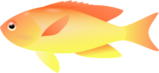 Transparent Fish Clipart - Transparent Background Fishes Clipart - Transparent PNG Free Download