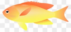 Transparent Fish Clipart - Transparent Background Fishes Clipart - Fish Transparent PNG Free Download