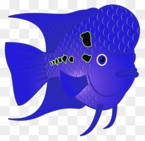 Flowerhorn Fish - Flower Horn Fish Clip Art - Transparent PNG Free Download