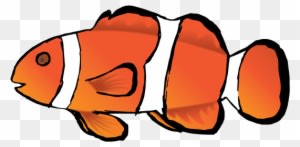 After Embedding The Trace I Removed The Background - Coral Reef Fish - Transparent PNG Free Download