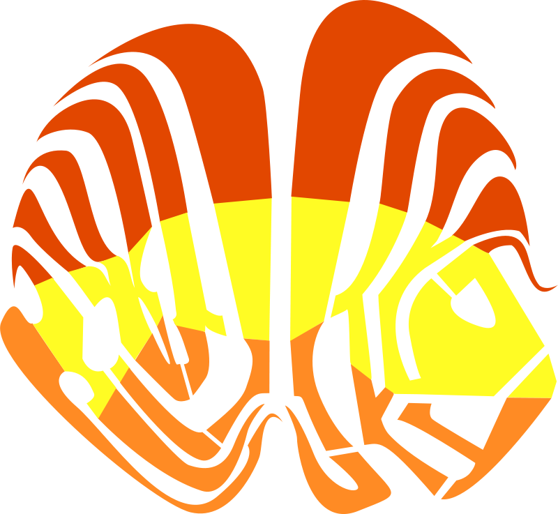 Free Flugi Lugi - Fish - Transparent PNG Free Download